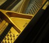 ����� W. Hoffmann V-158 ������