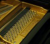 ����� W. Hoffmann V-158 ������