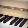 ������������ ������� W. Hoffmann V-112 �����