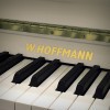 ������������ ������� W. Hoffmann V-120 �����