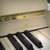 ������������ ������� W. Hoffmann V-120 �����