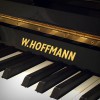 ������������ ������� W. Hoffmann V-120 ������