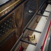 ������������ ������� W. Hoffmann V-120 ������