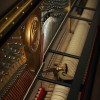 ������������ ������� W. Hoffmann V-120 ����
