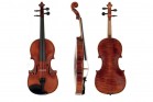 GEWA Georg Walther Stradivari model ������� ���������� - ����������� ����������� � �������������, ������ �� �������� ���� � ��������-��������