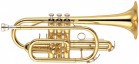������ Bb KING 603 (��-�� ���) �������� - ����������� ����������� � �������������, ������ �� �������� ���� � ��������-��������
