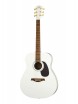 AG2 ������������ ������ MIG Guitars AG2-WH24 - ����������� ����������� � �������������, ������ �� �������� ���� � ��������-��������