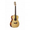 ������ Maton CUSTOM SHOP TE PERSONAL - ����������� ����������� � �������������, ������ �� �������� ���� � ��������-��������