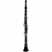 ������� Bb AMATI ACL 242-O (��-�� �����) - ����������� ����������� � �������������, ������ �� �������� ���� � ��������-��������