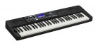 ���������� 61 ������� ������ Casio CT-S500 - ����������� ����������� � �������������, ������ �� �������� ���� � ��������-��������