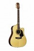 ������ Maton TE1 - ����������� ����������� � �������������, ������ �� �������� ���� � ��������-��������