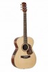 ������ Maton SRS808 - ����������� ����������� � �������������, ������ �� �������� ���� � ��������-��������