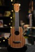 ������� ������� Tom TUS-200B - ����������� ����������� � �������������, ������ �� �������� ���� � ��������-��������