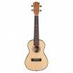 Spruce Series ������� ���������� ��������� � ������ ���� ����������� Cascha HH-2151L - ����������� ����������� � �������������, ������ �� �������� ���� � ��������-��������