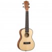 Spruce Series ������� ����� � ������ ���� ����������� Cascha HH-2154 - ����������� ����������� � �������������, ������ �� �������� ���� � ��������-��������