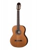 Cedar Fiesta Soloist Series ������������ ������ ���� ���� Kremona F65C-w/bag - ����������� ����������� � �������������, ������ �� �������� ���� � ��������-��������