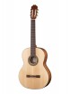 Rondo Soloist Series ������������ ������ Kremona R65S - ����������� ����������� � �������������, ������ �� �������� ���� � ��������-��������