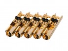 ����� ��������������� ��� 5�������� ��������� ������ Paxphil BB215-GD - ����������� ����������� � �������������, ������ �� �������� ���� � ��������-��������