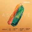 Ascente ��������� ������ ��� ��� ����� ������� ��������� DAddario A411-MM - ����������� ����������� � �������������, ������ �� �������� ���� � ��������-��������