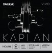 Kaplan Vivo ��������� ������ A�� ��� ������� �������� 44 ������� ��������� DAddario KV312-4/4M - ����������� ����������� � �������������, ������ �� �������� ���� � ��������-��������
