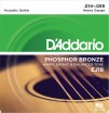 Phosphor Bronze �������� ����� ��� ������������ ������ ��������� ������ 1459 DAddario EJ18 - ����������� ����������� � �������������, ������ �� �������� ���� � ��������-��������