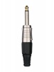 ������ �� ������ 14 Male 635�� ���� Soundking CC101 - ����������� ����������� � �������������, ������ �� �������� ���� � ��������-��������