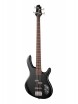 Action Series ��������� ������ Cort Action-Bass-Plus-BK - ����������� ����������� � �������������, ������ �� �������� ���� � ��������-��������