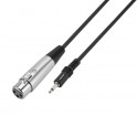 ������ AUX Jack 35�� mXLR 3� ��� ������ GoPower 00-00032070 - ����������� ����������� � �������������, ������ �� �������� ���� � ��������-��������