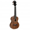 Acacia Series ������� ���������� � ������ ���� ����������� Cascha HH-2310 - ����������� ����������� � �������������, ������ �� �������� ���� � ��������-��������