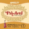 ProArte ��������� ������ ��� ��� ������� �������� 44 ������� ��������� DAddario J5601W-4/4M - ����������� ����������� � �������������, ������ �� �������� ���� � ��������-��������