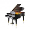 ����� C.Bechstein B 212 - ����������� ����������� � �������������, ������ �� �������� ���� � ��������-��������