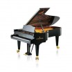 ����� C.Bechstein C 234 - ����������� ����������� � �������������, ������ �� �������� ���� � ��������-��������