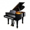 ����� C.Bechstein A 175 - ����������� ����������� � �������������, ������ �� �������� ���� � ��������-��������