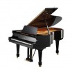 ����� C.Bechstein A 208 - ����������� ����������� � �������������, ������ �� �������� ���� � ��������-��������