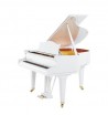 ����� C.Bechstein L 167 - ����������� ����������� � �������������, ������ �� �������� ���� � ��������-��������