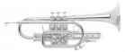 ������ Bb BACH 184ML (��-�� ���) Stradivarius - ����������� ����������� � �������������, ������ �� �������� ���� � ��������-��������