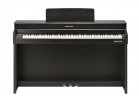�������� ������� Kurzweil Andante CUP320 SR ���������, � ��������� - ����������� ����������� � �������������, ������ �� �������� ���� � ��������-��������