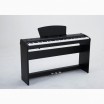 �������� ������� Sai Piano P-65BK - ����������� ����������� � �������������, ������ �� �������� ���� � ��������-��������