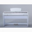 �������� ������� Sai Piano P-65WH - ����������� ����������� � �������������, ������ �� �������� ���� � ��������-��������