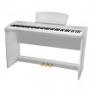 �������� ������� Sai Piano P-9WH - ����������� ����������� � �������������, ������ �� �������� ���� � ��������-��������