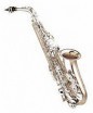 ��������-���� Eb AMATI AAS 63P-O - ����������� ����������� � �������������, ������ �� �������� ���� � ��������-��������