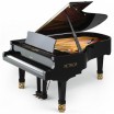 ����� Petrof P 210 Passat - ����������� ����������� � �������������, ������ �� �������� ���� � ��������-��������