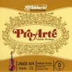 ProArte ��������� ������ D�� ��� ������� �������� 44 �� ����� 10�� DAddario J5603-4/4M-B10 - ����������� ����������� � �������������, ������ �� �������� ���� � ��������-��������