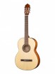 ������ Cort AC100-SG - ����������� ����������� � �������������, ������ �� �������� ���� � ��������-��������