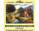 Alice A106-H ������ ��� ������������ ������ - ����������� ����������� � �������������, ������ �� �������� ���� � ��������-��������