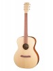 Steel String Series Green Globe ������������ ������ Kremona M15-GG - ����������� ����������� � �������������, ������ �� �������� ���� � ��������-��������