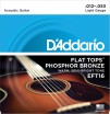 FLAT TOPS ������ ��� ������������ ������ ��������� ������ 1253 DAddario EFT16 - ����������� ����������� � �������������, ������ �� �������� ���� � ��������-��������