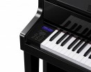 Celviano GP-510BP, �������� ���������� - ����������� ����������� � �������������, ������ �� �������� ���� � ��������-��������