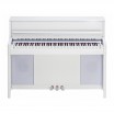 �������� ������� Kurzweil CUP1 WHP � ��������� - ����������� ����������� � �������������, ������ �� �������� ���� � ��������-��������
