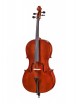 Beginer Genial 2 Nitro Laminated ���������� 34 Gliga B-C034-L - ����������� ����������� � �������������, ������ �� �������� ���� � ��������-��������